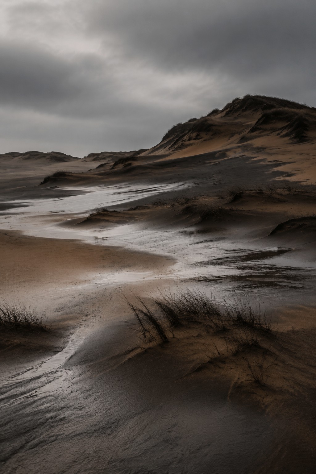 AI generated muted color fine-art landscape of rain-darkened dunes and sparse grasses.