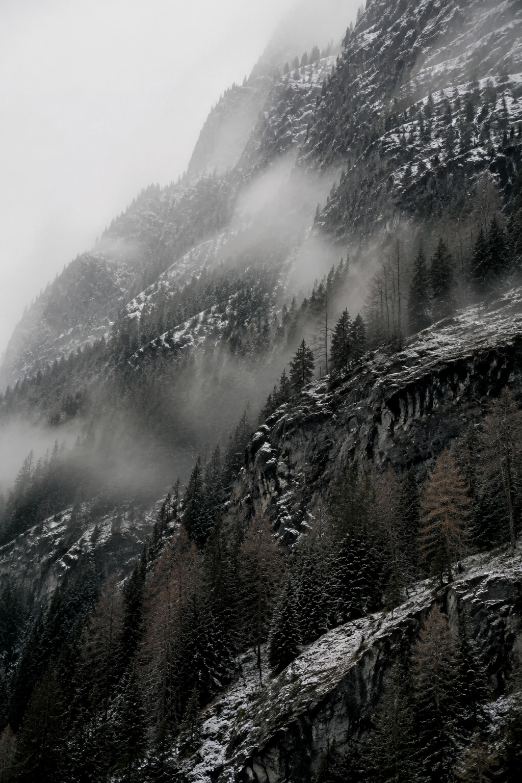 AI generated muted color fine-art landscape of a steep winter mountain forest.